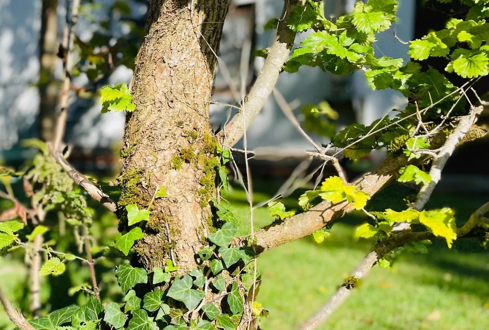 Hébergement de vacances Villa Gluecksfleckerl à Nagel Allemagne
